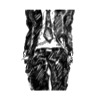 noteamtokens_icon